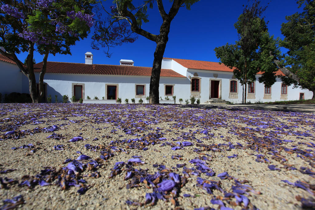 فندق Quinta Da Lapa Manique do Intendente المظهر الخارجي الصورة